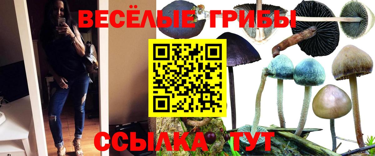 Галлюциногенные грибы Cubensis  Вход с VPN  Коркино 