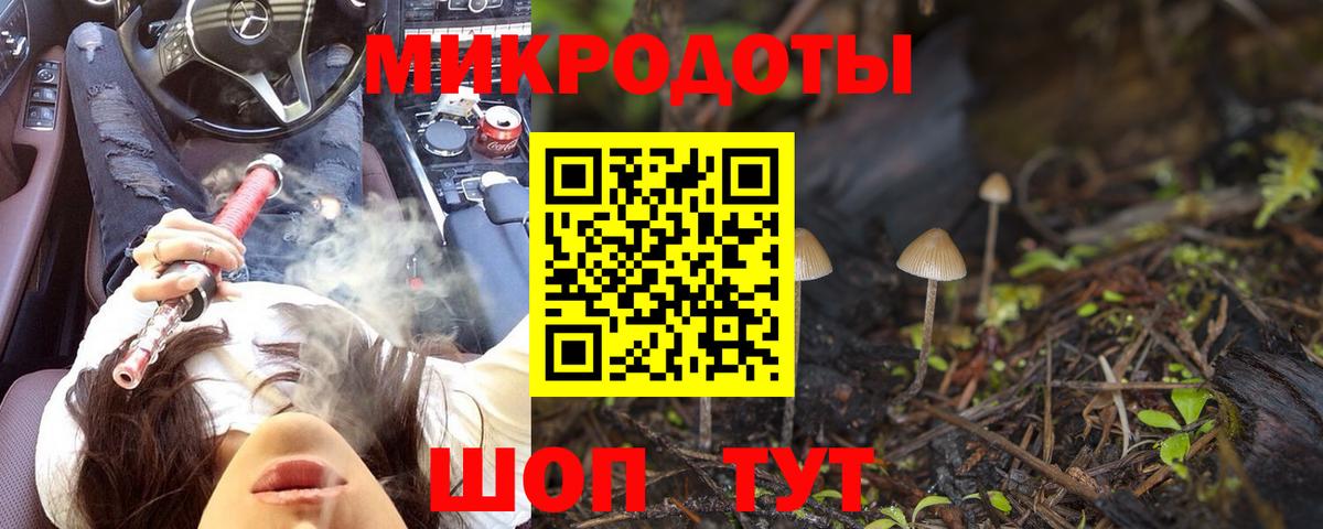 Галлюциногенные грибы Psilocybe Коркино